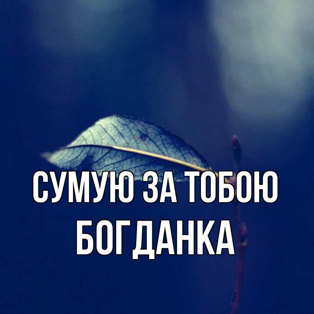 Открытка на каждый день з підписом, Богданка Сумую за тобою одна ветка 1 Прикольна листівка з побажанням онлайн скачати безкоштовно 