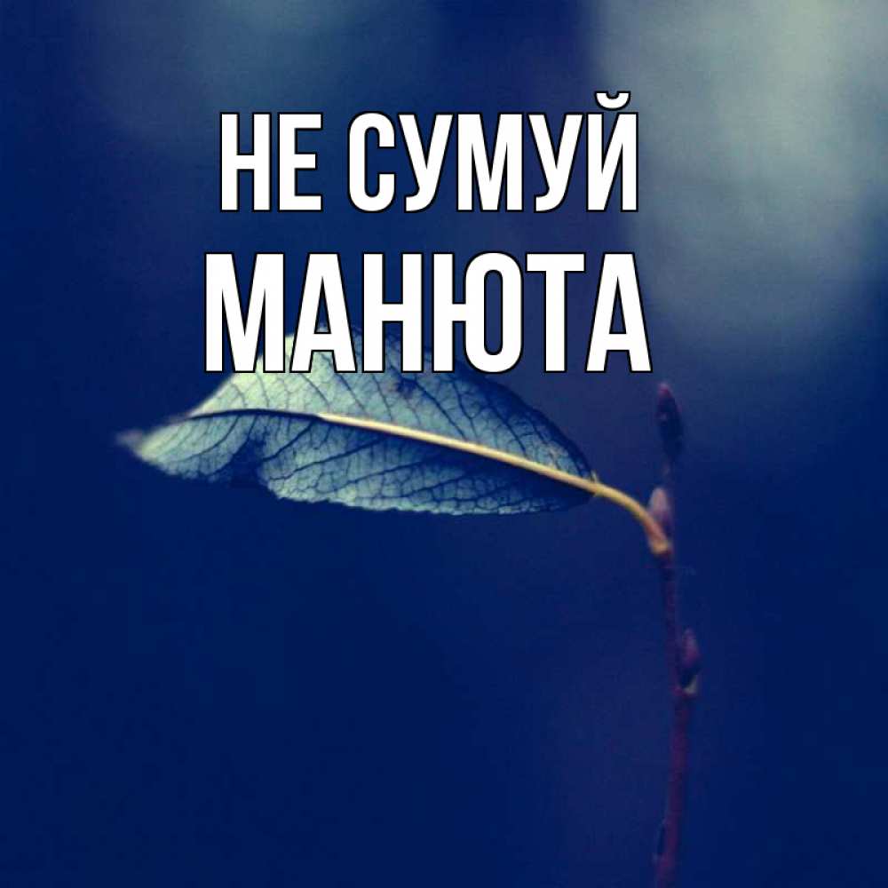 Открытка на каждый день з підписом, Манюта Не сумуй растение Прикольна листівка з побажанням онлайн скачати безкоштовно 