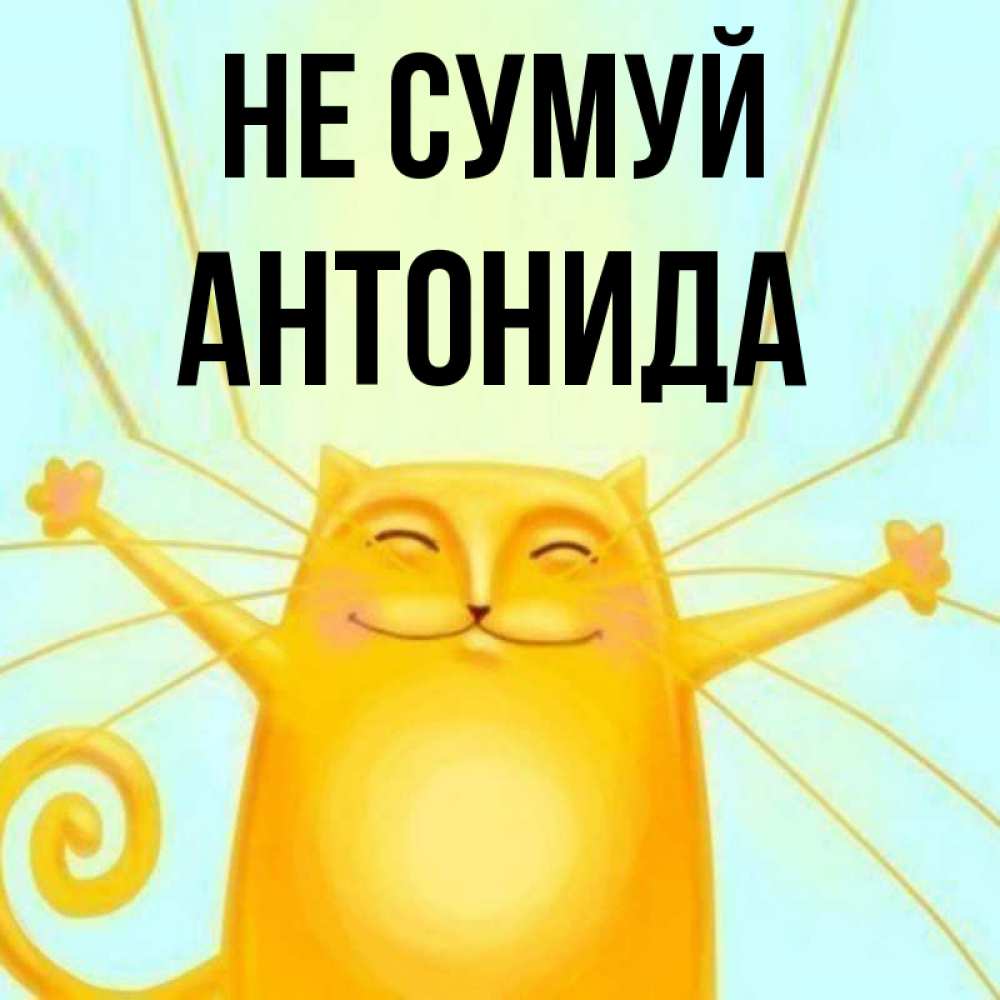 Открытка на каждый день з підписом, Антонида Не сумуй обнимашки усатые Прикольна листівка з побажанням онлайн скачати безкоштовно 
