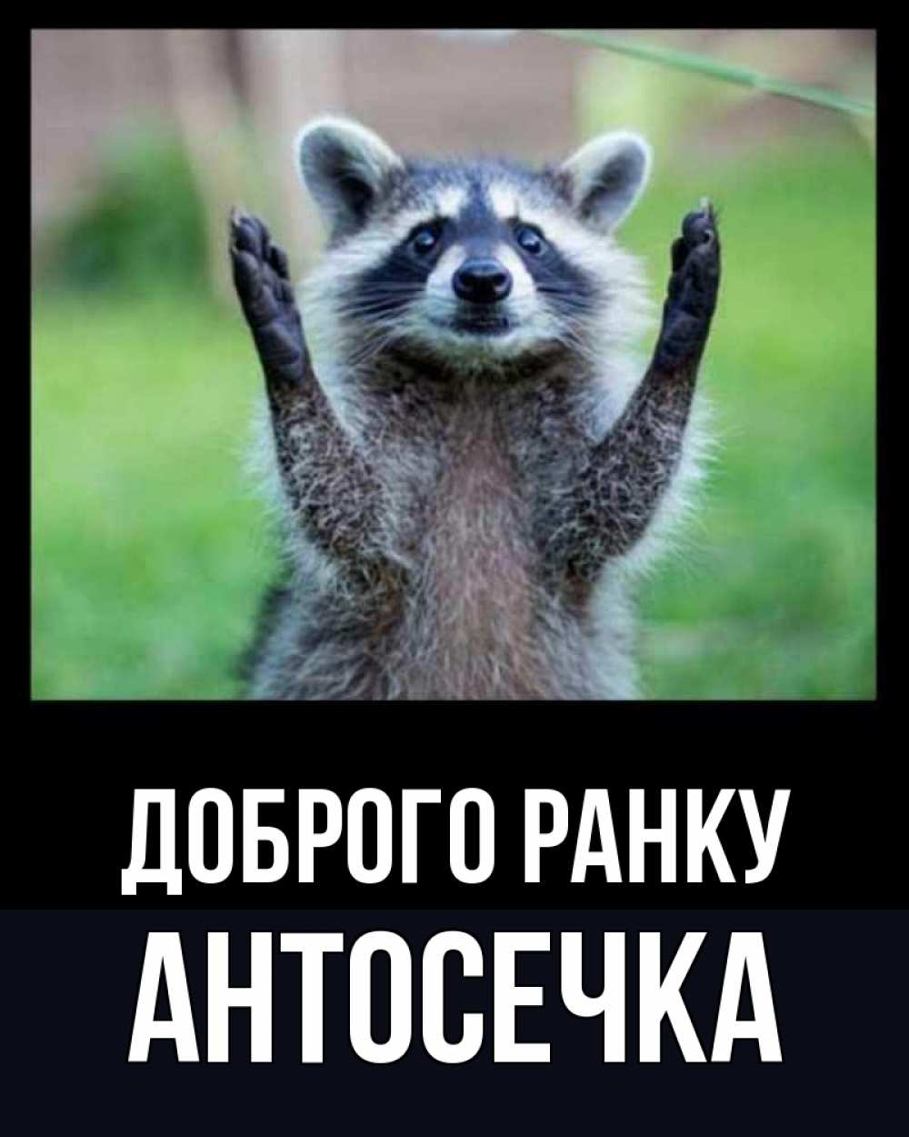 Открытка на каждый день з підписом, Антосечка Доброго ранку хорошее настроение утречком Прикольна листівка з побажанням онлайн скачати безкоштовно 