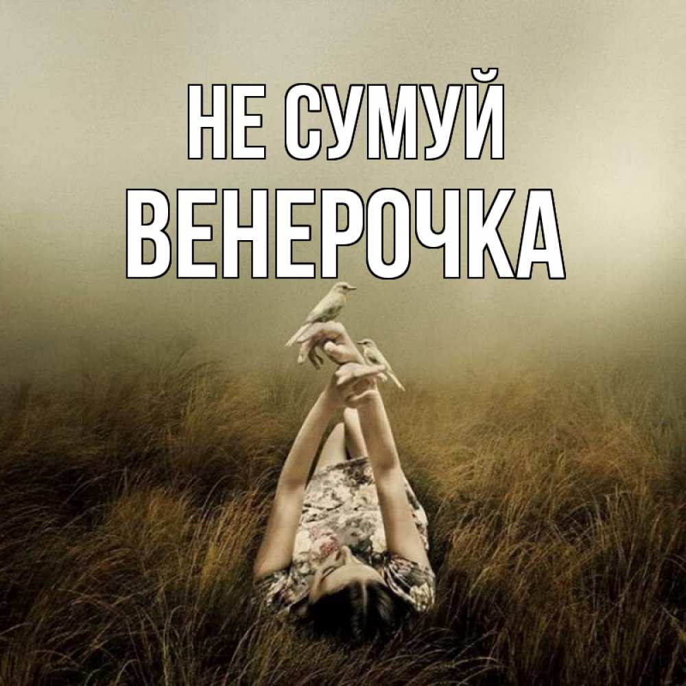 Открытка на каждый день з підписом, Венерочка Не сумуй поле и туман Прикольна листівка з побажанням онлайн скачати безкоштовно 