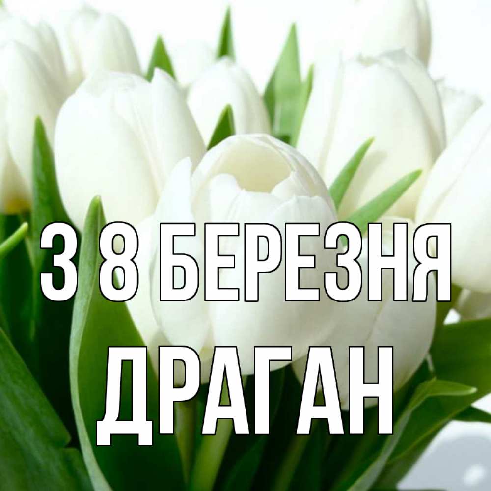 Открытка на каждый день з підписом, Драган З 8 БЕРЕЗНЯ цветы Прикольна листівка з побажанням онлайн скачати безкоштовно 