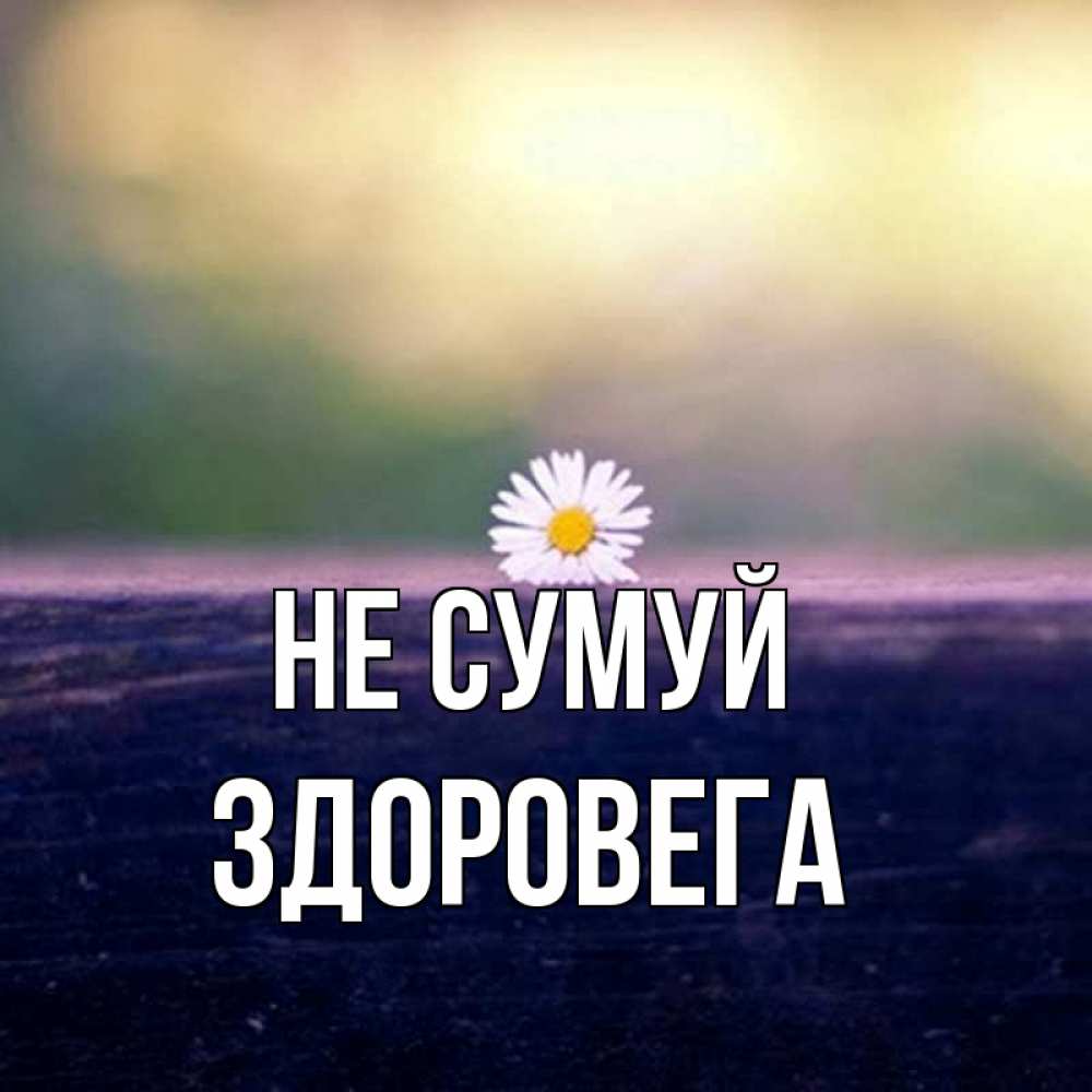 Открытка на каждый день з підписом, Здоровега Не сумуй красота Прикольна листівка з побажанням онлайн скачати безкоштовно 