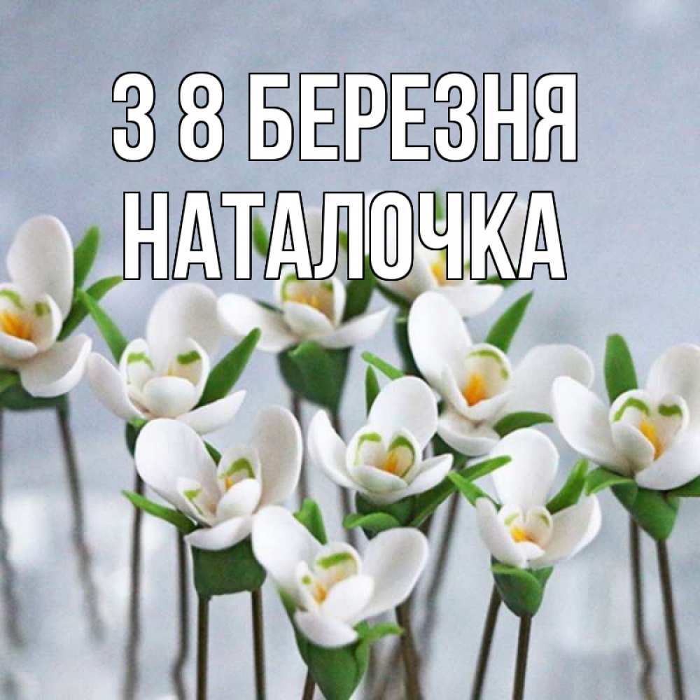Открытка на каждый день з підписом, Наталочка З 8 БЕРЕЗНЯ весенние цветы Прикольна листівка з побажанням онлайн скачати безкоштовно 