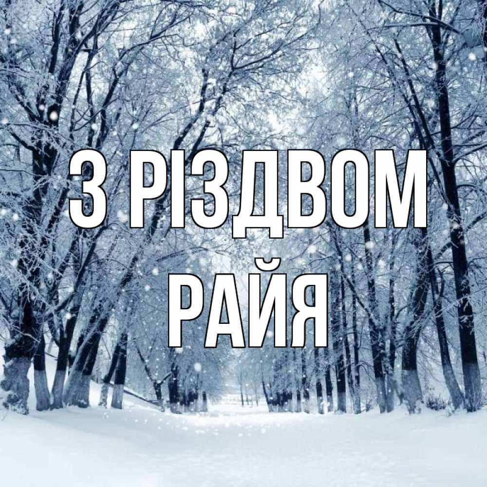 Открытка на каждый день з підписом, Райя З Різдвом снег, лес, парк Прикольна листівка з побажанням онлайн скачати безкоштовно 