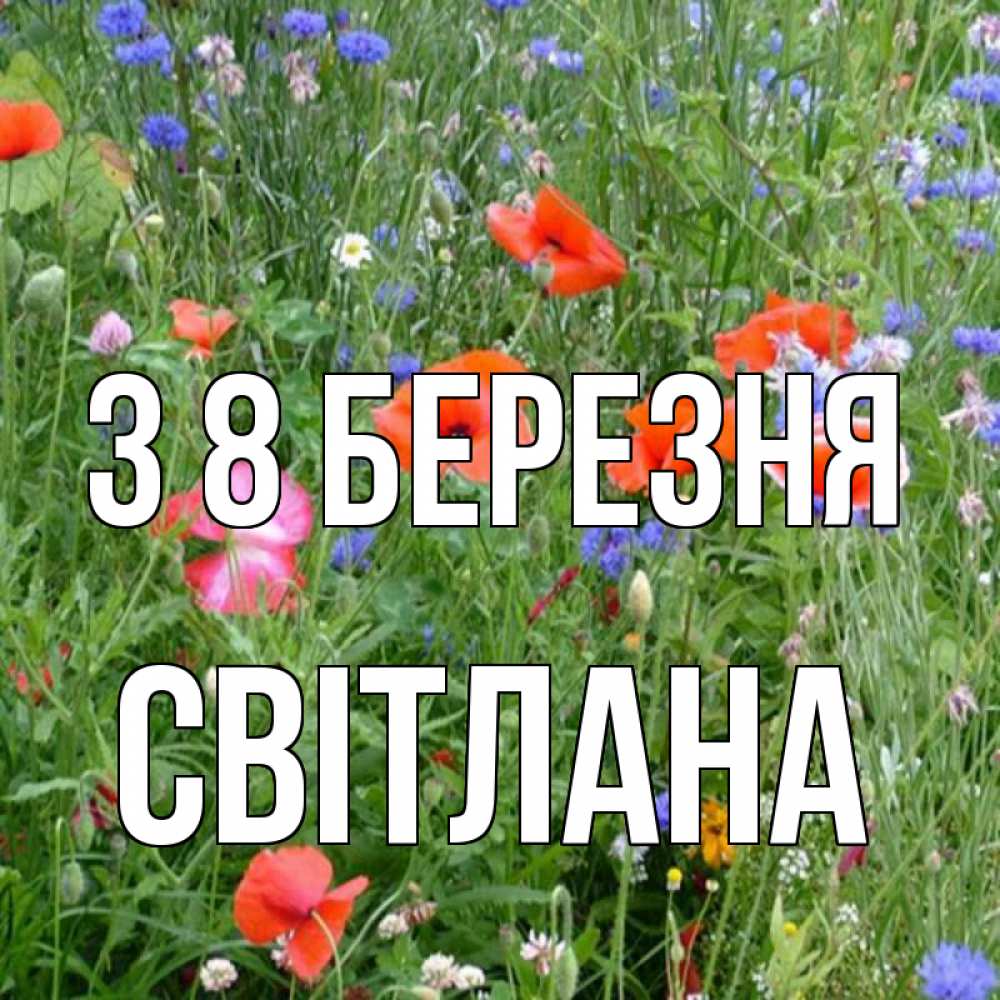 Открытка на каждый день з підписом, Світлана З 8 БЕРЕЗНЯ международный женский день 4 Прикольна листівка з побажанням онлайн скачати безкоштовно 
