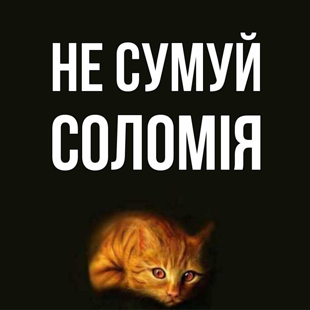 Открытка на каждый день з підписом, Соломія Не сумуй лежащий кот в темноте Прикольна листівка з побажанням онлайн скачати безкоштовно 