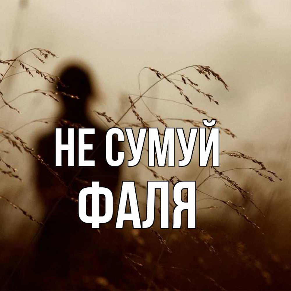 Открытка на каждый день з підписом, Фаля Не сумуй грусть Прикольна листівка з побажанням онлайн скачати безкоштовно 