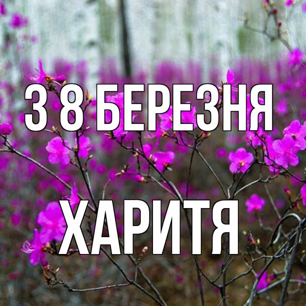 Открытка на каждый день з підписом, Харитя З 8 БЕРЕЗНЯ дикие цветы Прикольна листівка з побажанням онлайн скачати безкоштовно 