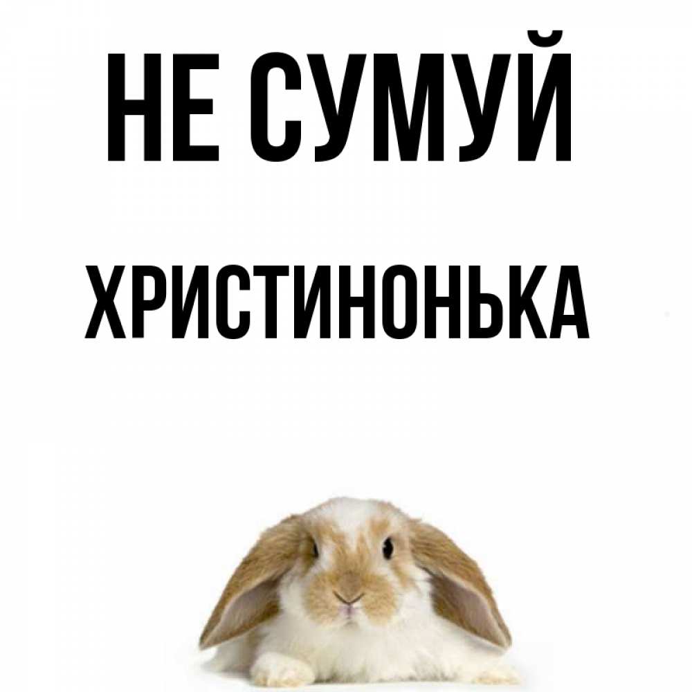 Открытка на каждый день з підписом, Христинонька Не сумуй коричнево белый заяц с большими ушками Прикольна листівка з побажанням онлайн скачати безкоштовно 