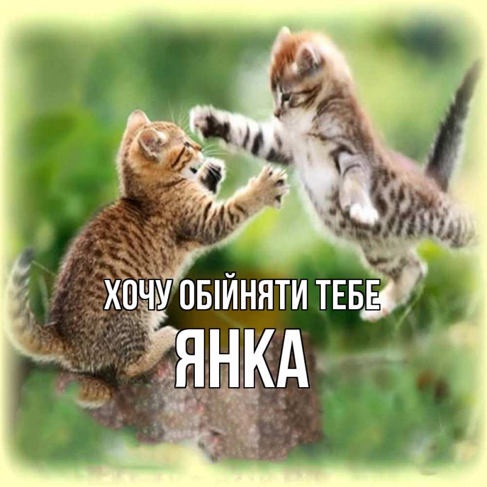 Открытка на каждый день з підписом, Янка Хочу обійняти тебе игры котят Прикольна листівка з побажанням онлайн скачати безкоштовно 