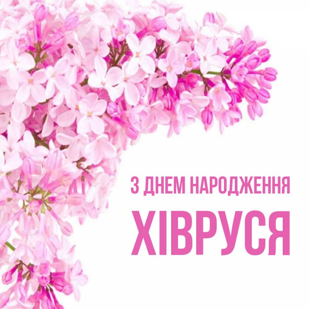 Открытка на каждый день з підписом, Хівруся З Днем народження Сирень на белом фоне Прикольна листівка з побажанням онлайн скачати безкоштовно 