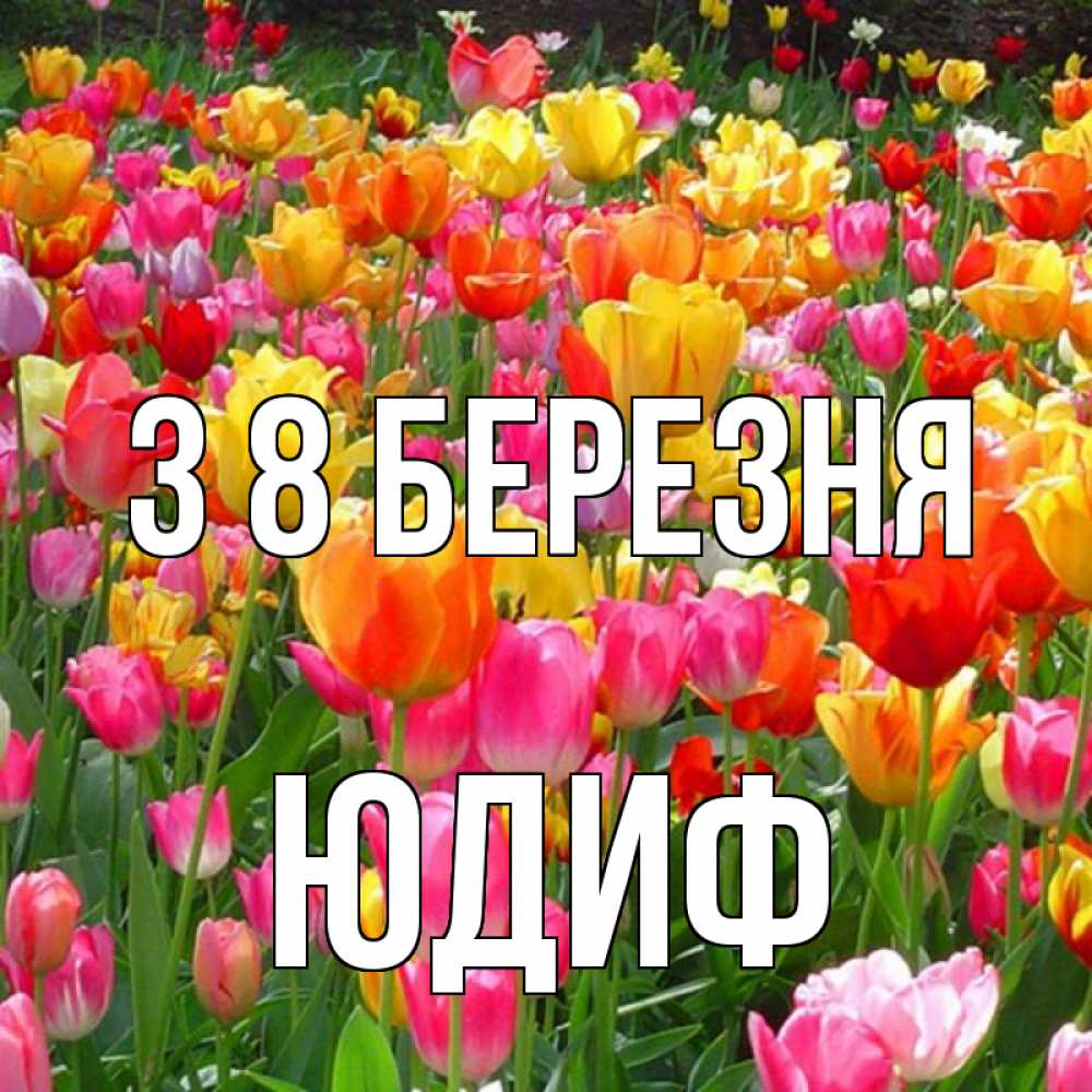 Открытка на каждый день з підписом, Юдиф З 8 БЕРЕЗНЯ на международный женский день Прикольна листівка з побажанням онлайн скачати безкоштовно 