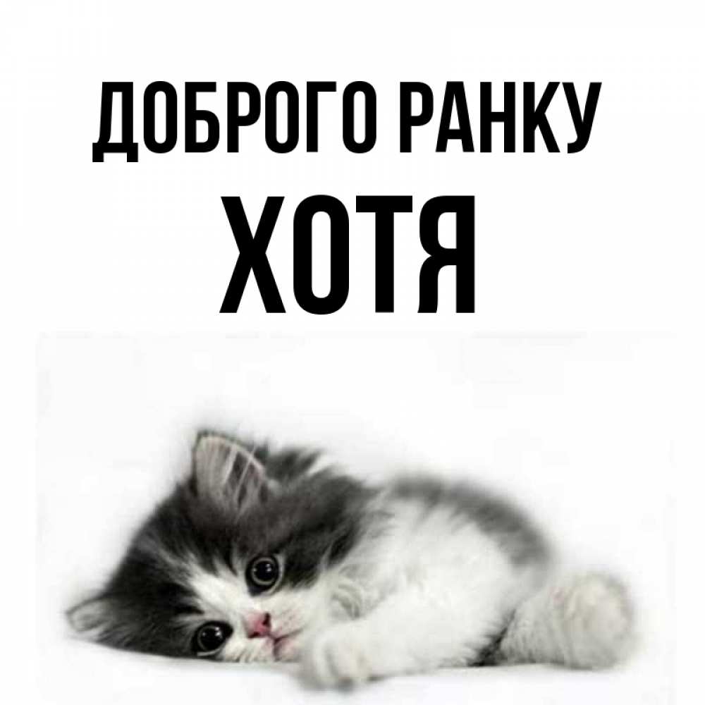 Открытка на каждый день з підписом, Хотя Доброго ранку кот лапки Прикольна листівка з побажанням онлайн скачати безкоштовно 