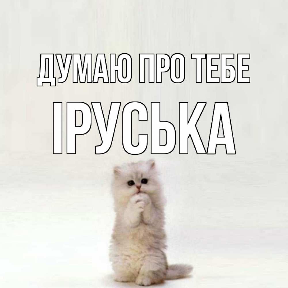 Открытка на каждый день з підписом, Іруська Думаю про тебе кот стоит на задних лапах Прикольна листівка з побажанням онлайн скачати безкоштовно 