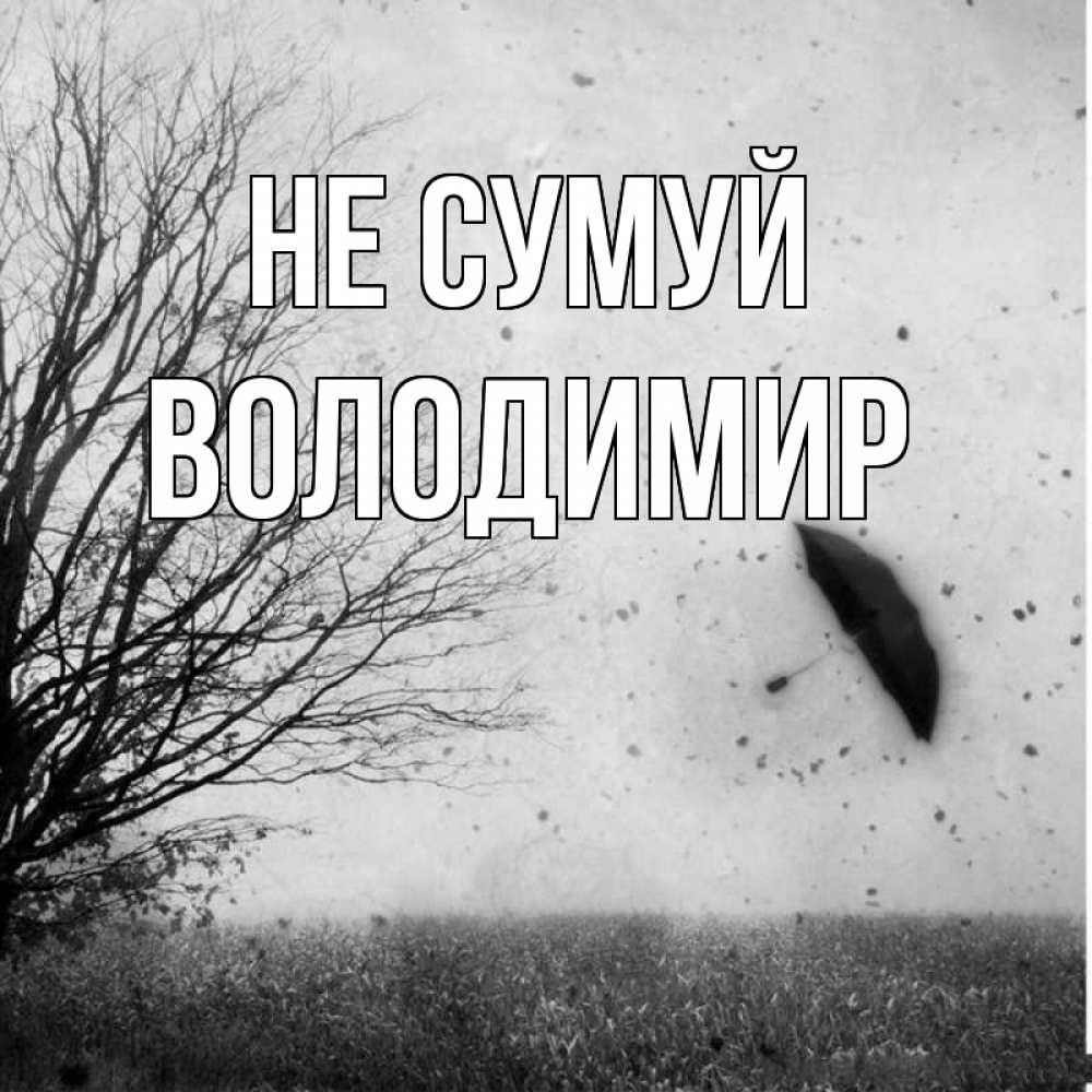 Открытка на каждый день з підписом, Володимир Не сумуй летящий зонтик Прикольна листівка з побажанням онлайн скачати безкоштовно 
