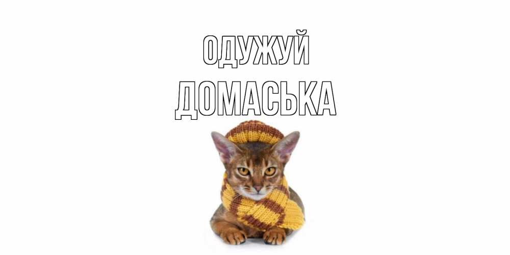 Открытка на каждый день з підписом, Домаська Одужуй родные не болейте Прикольна листівка з побажанням онлайн скачати безкоштовно 