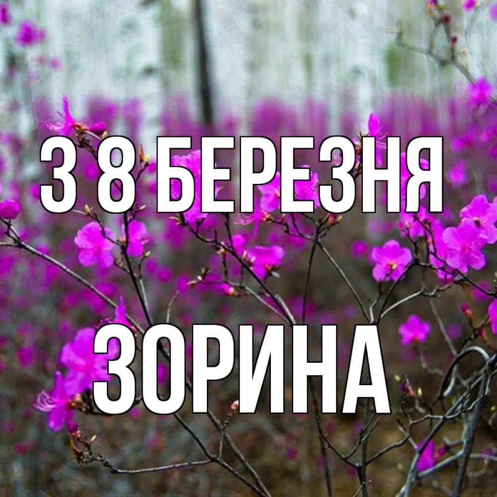 Открытка на каждый день з підписом, Зорина З 8 БЕРЕЗНЯ дикие цветы Прикольна листівка з побажанням онлайн скачати безкоштовно 