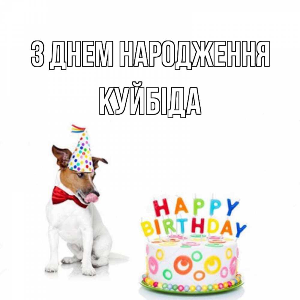 Открытка на каждый день з підписом, Куйбіда З Днем народження праздник Прикольна листівка з побажанням онлайн скачати безкоштовно 