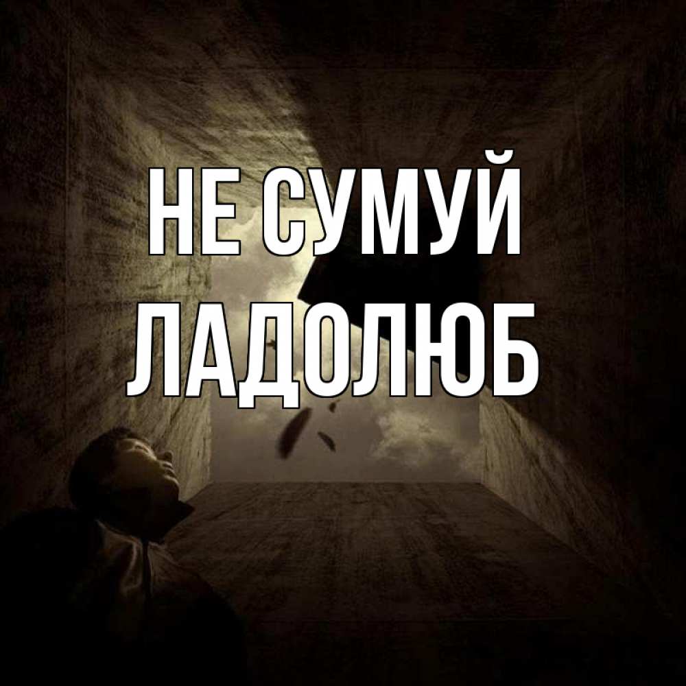 Открытка на каждый день з підписом, Ладолюб Не сумуй жуть Прикольна листівка з побажанням онлайн скачати безкоштовно 