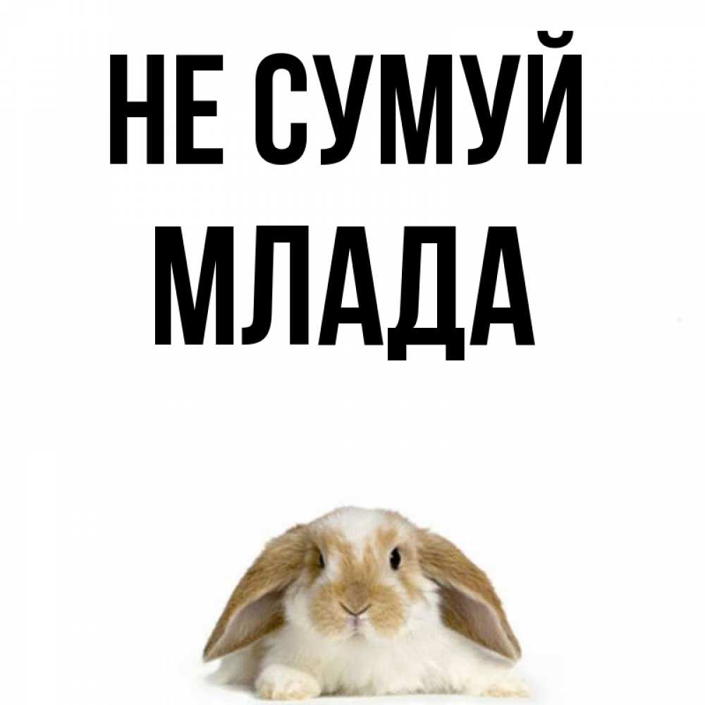 Открытка на каждый день з підписом, Млада Не сумуй коричнево белый заяц с большими ушками Прикольна листівка з побажанням онлайн скачати безкоштовно 