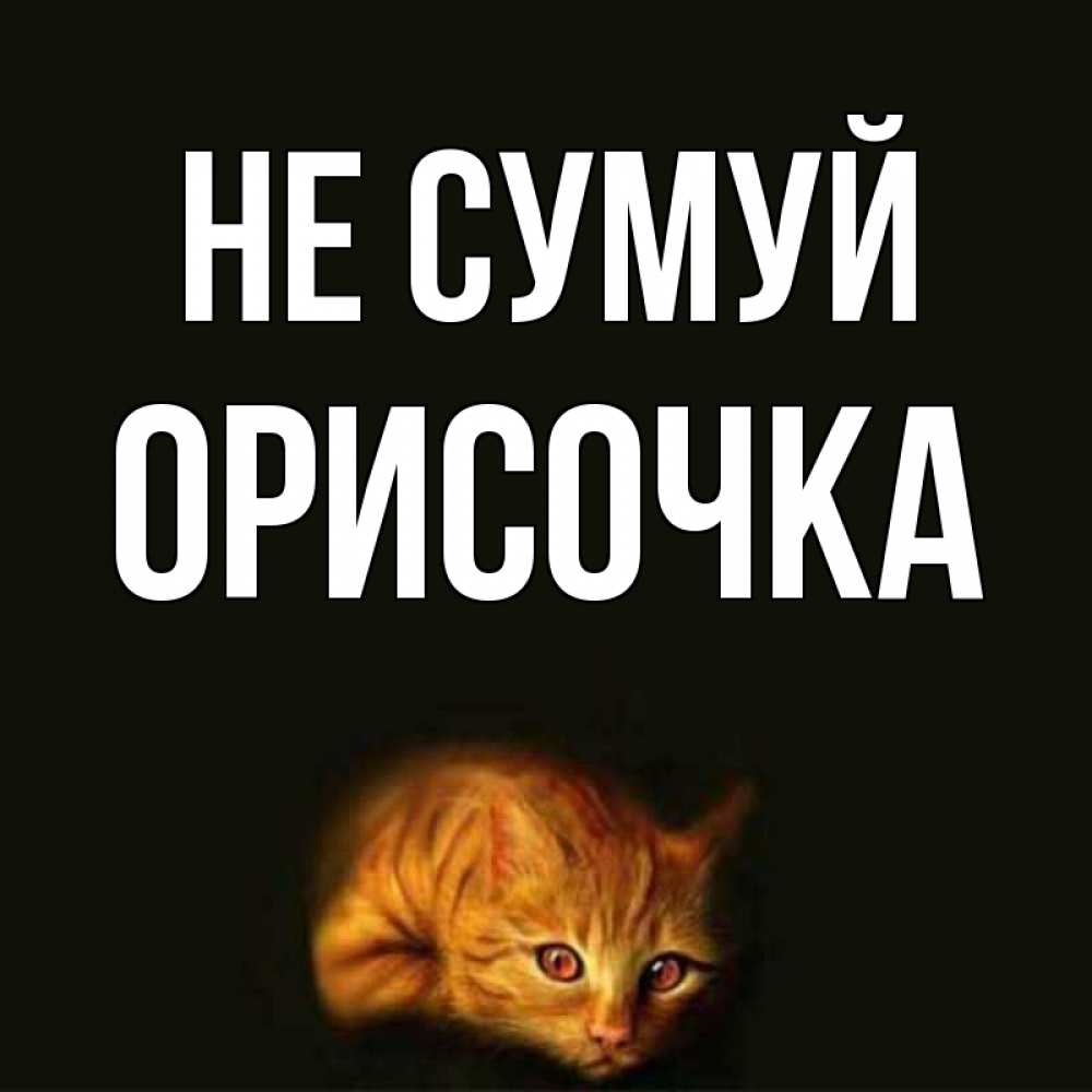Открытка на каждый день з підписом, Орисочка Не сумуй лежащий кот в темноте Прикольна листівка з побажанням онлайн скачати безкоштовно 