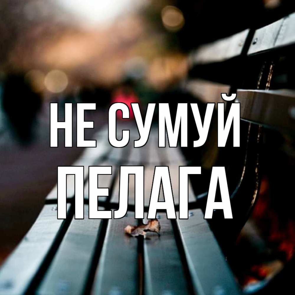 Открытка на каждый день з підписом, Пелага Не сумуй размытый фон Прикольна листівка з побажанням онлайн скачати безкоштовно 