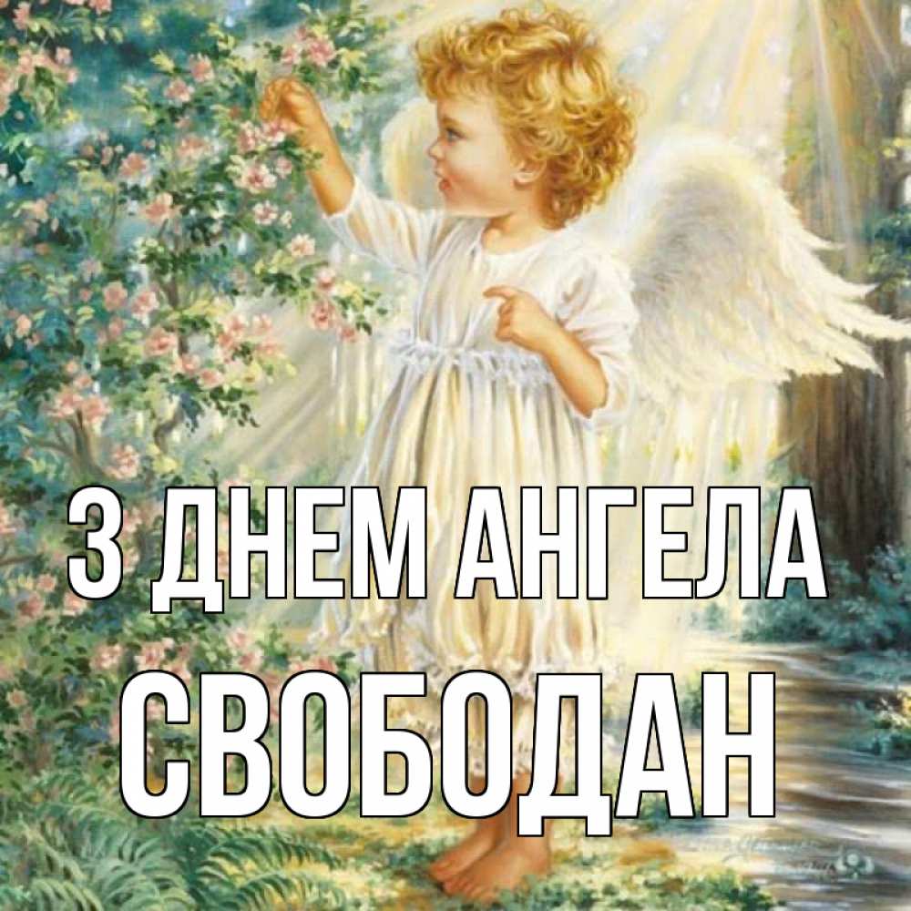 Открытка на каждый день з підписом, Свободан З Днем ангела собирает цветы Прикольна листівка з побажанням онлайн скачати безкоштовно 
