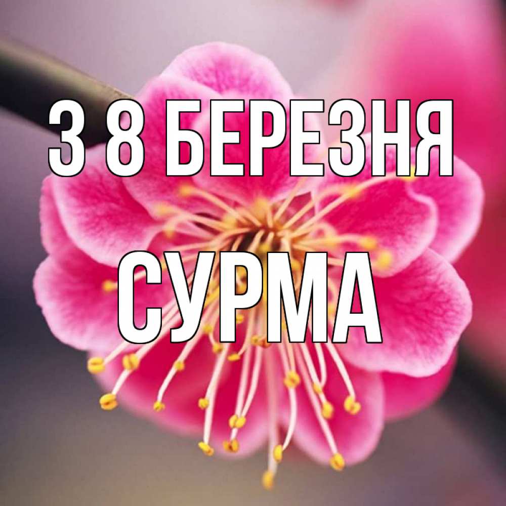 Открытка на каждый день з підписом, Сурма З 8 БЕРЕЗНЯ цветы Прикольна листівка з побажанням онлайн скачати безкоштовно 