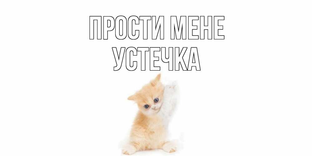Открытка на каждый день з підписом, Устечка Прости мене кот Прикольна листівка з побажанням онлайн скачати безкоштовно 
