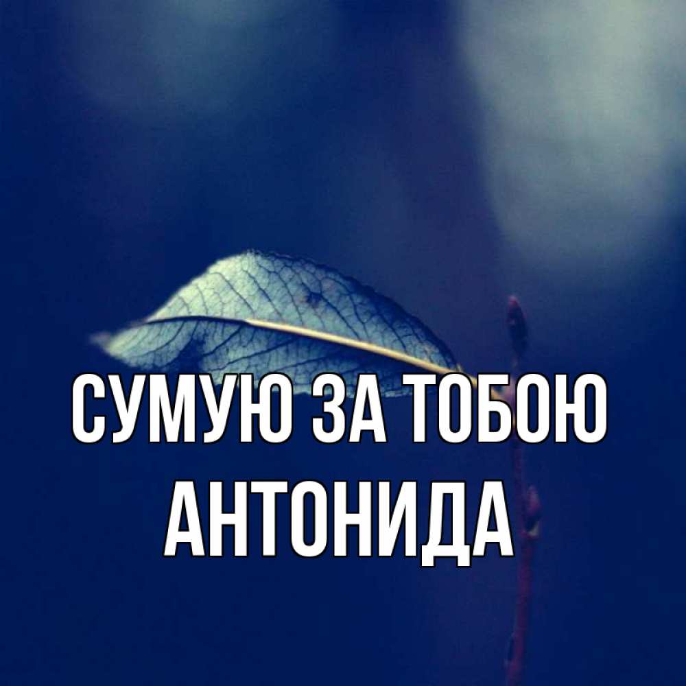 Открытка на каждый день з підписом, Антонида Сумую за тобою одна ветка 1 Прикольна листівка з побажанням онлайн скачати безкоштовно 