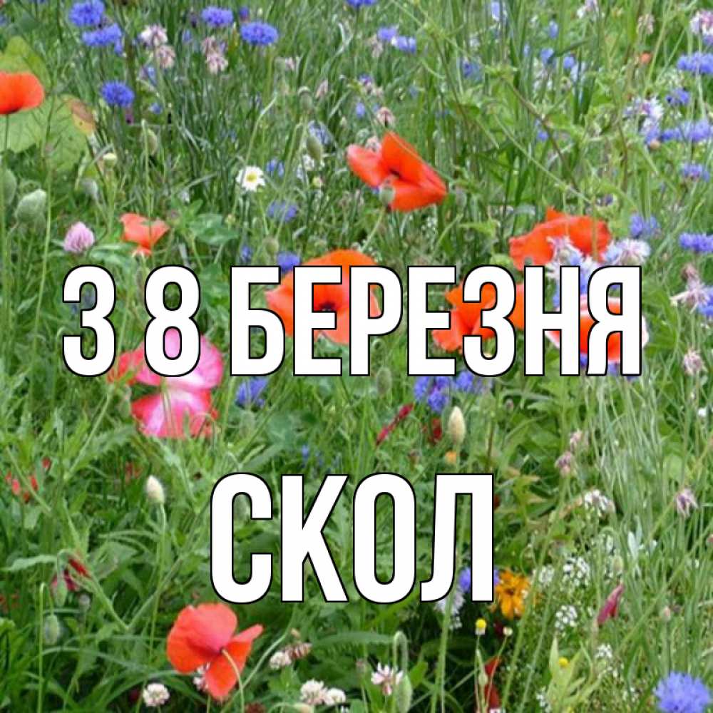 Открытка на каждый день з підписом, Скол З 8 БЕРЕЗНЯ международный женский день 4 Прикольна листівка з побажанням онлайн скачати безкоштовно 