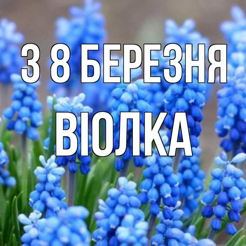 Открытка на каждый день з підписом, Віолка З 8 БЕРЕЗНЯ Поздравительная открытка для женщин с цветами на праздничную дату Прикольна листівка з побажанням онлайн скачати безкоштовно 