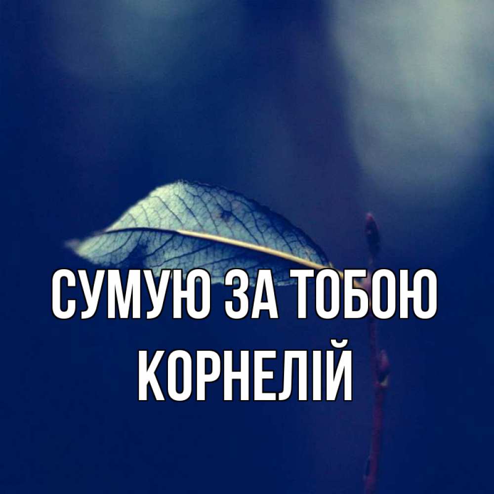 Открытка на каждый день з підписом, Корнелій Сумую за тобою одна ветка 1 Прикольна листівка з побажанням онлайн скачати безкоштовно 