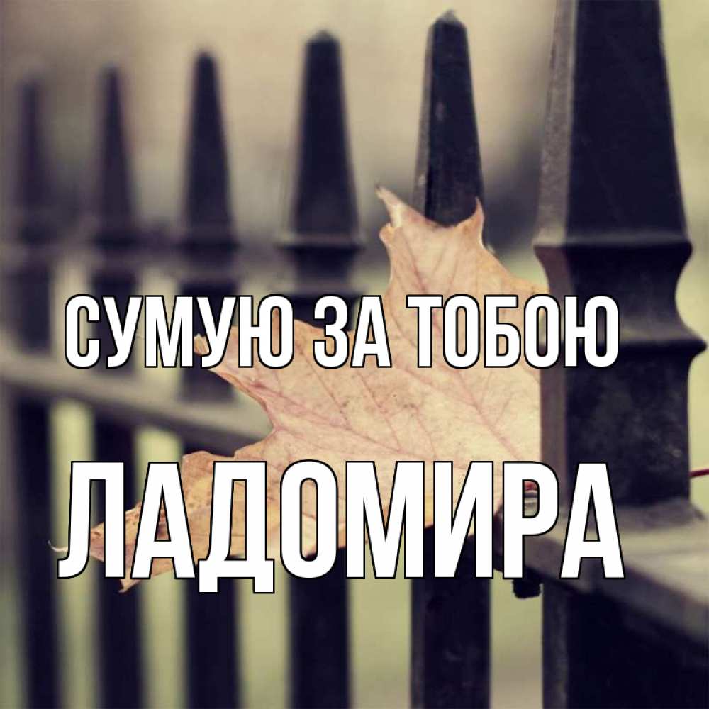 Открытка на каждый день з підписом, Ладомира Сумую за тобою очень скучно Прикольна листівка з побажанням онлайн скачати безкоштовно 