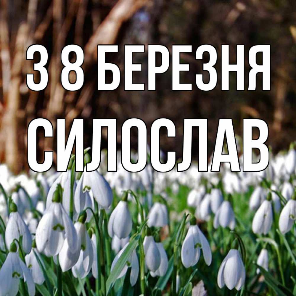 Открытка на каждый день з підписом, Силослав З 8 БЕРЕЗНЯ с подснежниками 1 Прикольна листівка з побажанням онлайн скачати безкоштовно 
