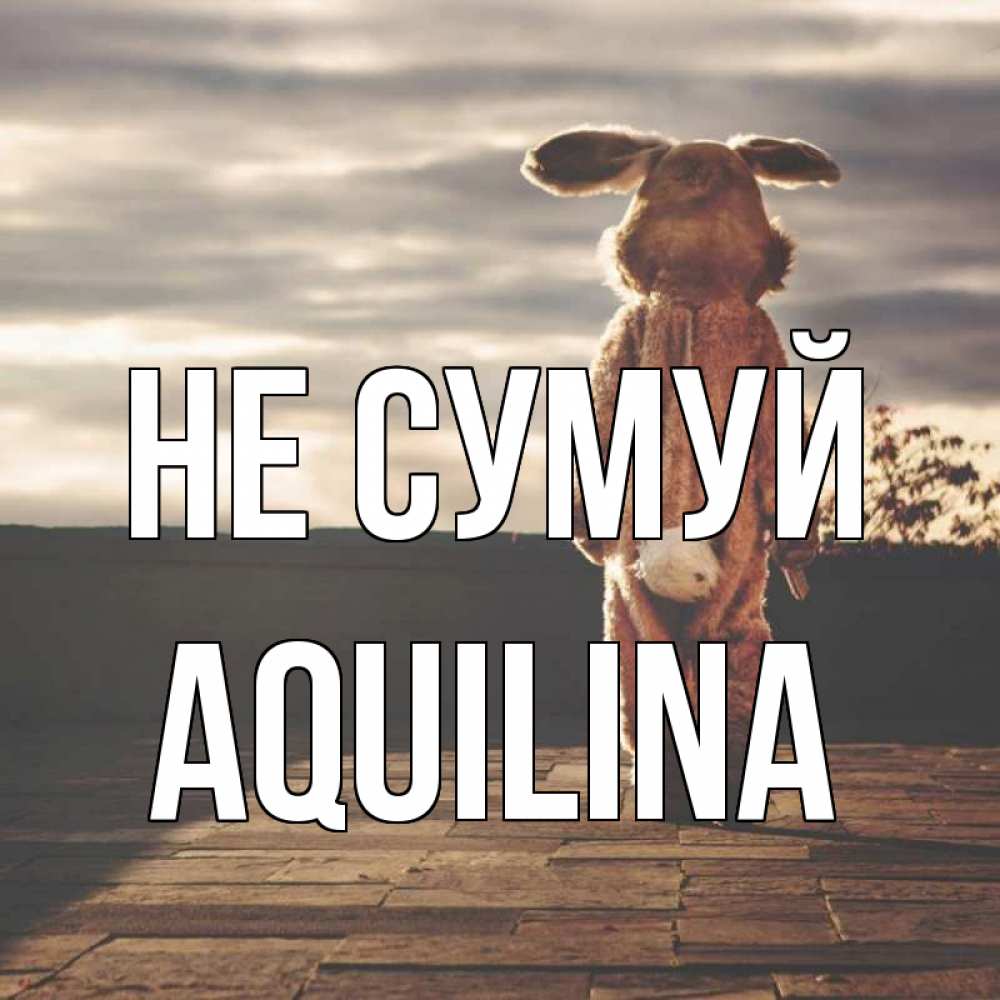 Открытка на каждый день з підписом, Aquilina Не сумуй со спины Прикольна листівка з побажанням онлайн скачати безкоштовно 