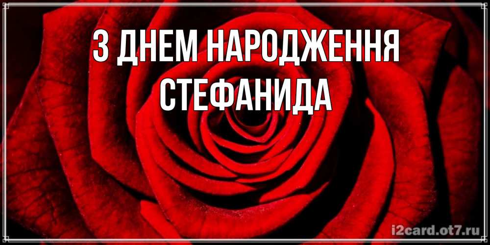 Открытка на каждый день з підписом, Стефанида З Днем народження алая роза Прикольна листівка з побажанням онлайн скачати безкоштовно 