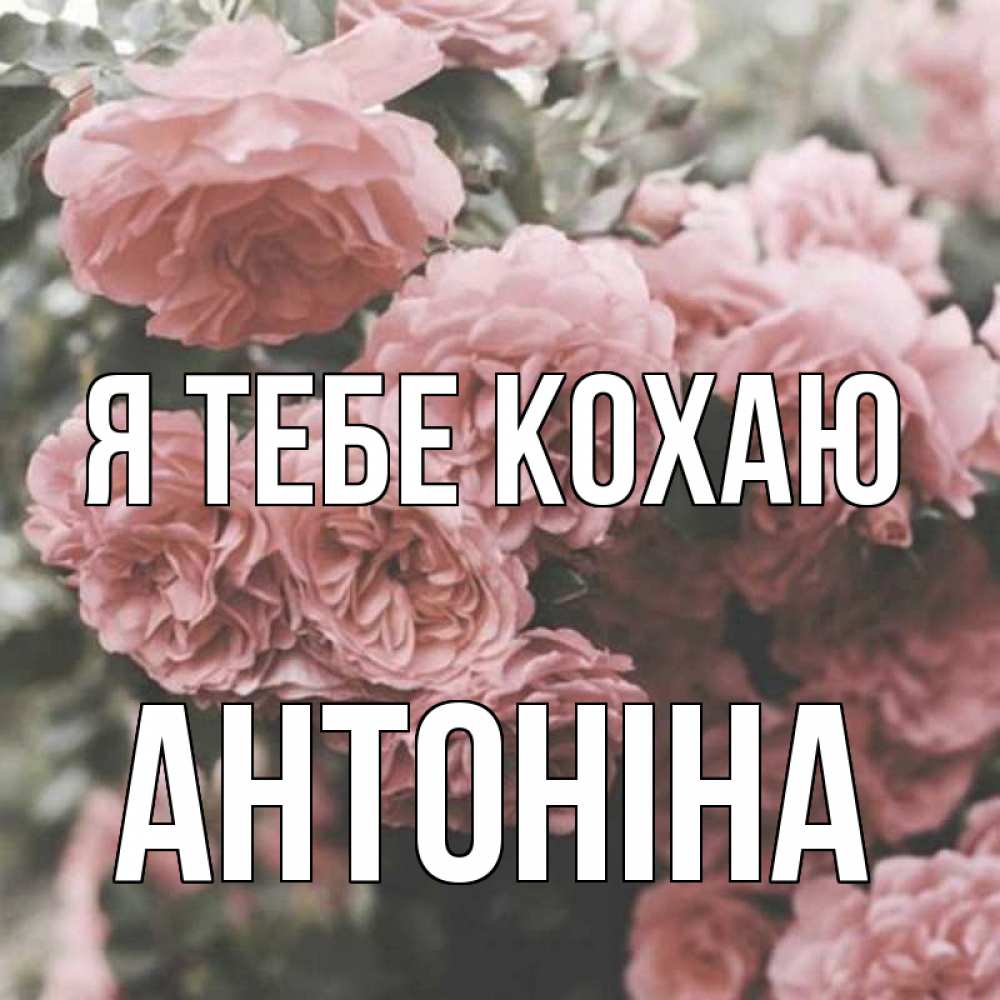 Открытка на каждый день з підписом, Антоніна Я тебе кохаю розы 3 Прикольна листівка з побажанням онлайн скачати безкоштовно 