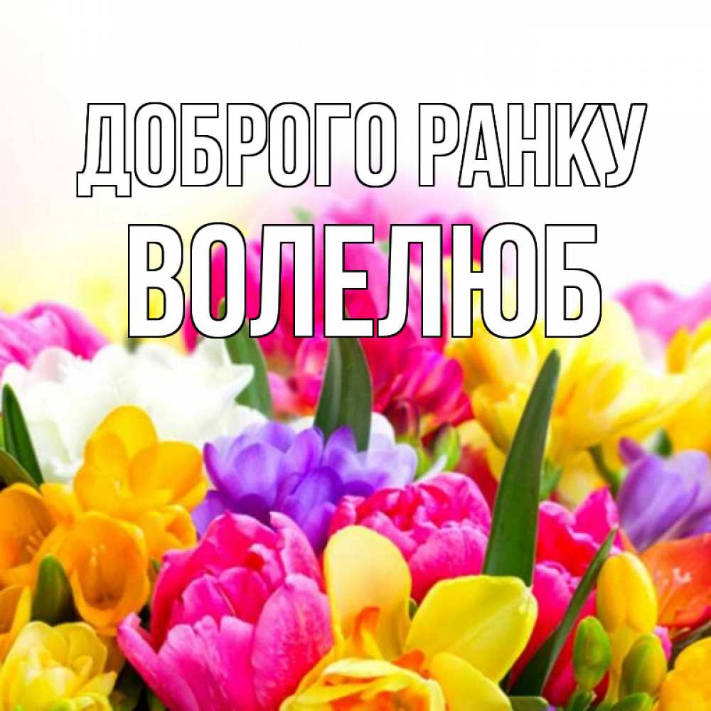 Открытка на каждый день з підписом, Волелюб Доброго ранку создать открытку со свое подписью Прикольна листівка з побажанням онлайн скачати безкоштовно 