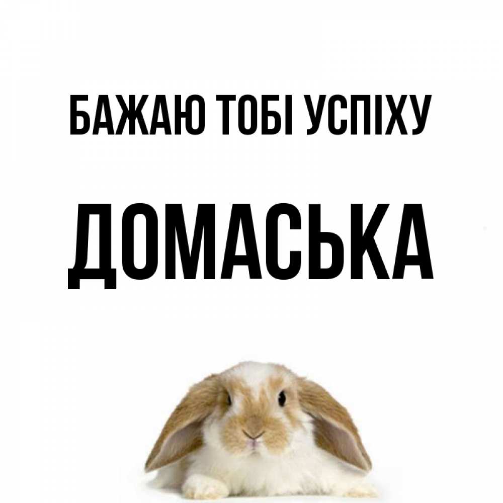 Открытка на каждый день з підписом, Домаська Бажаю тобі успіху открытки с произвольным текстом который можно вставить в открытку и создать ее самостоятельно бесплатно онлайн Прикольна листівка з побажанням онлайн скачати безкоштовно 