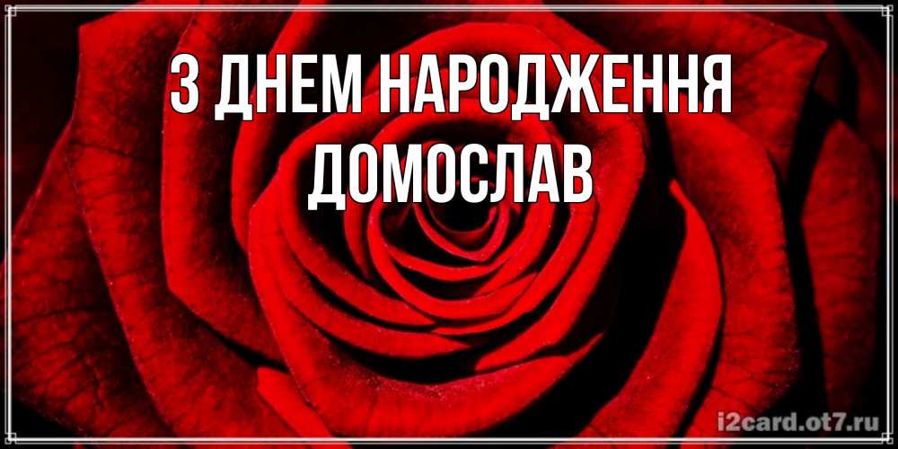 Открытка на каждый день з підписом, Домослав З Днем народження алая роза Прикольна листівка з побажанням онлайн скачати безкоштовно 