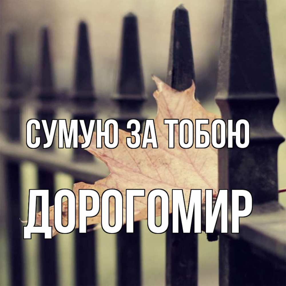 Открытка на каждый день з підписом, Дорогомир Сумую за тобою очень скучно Прикольна листівка з побажанням онлайн скачати безкоштовно 