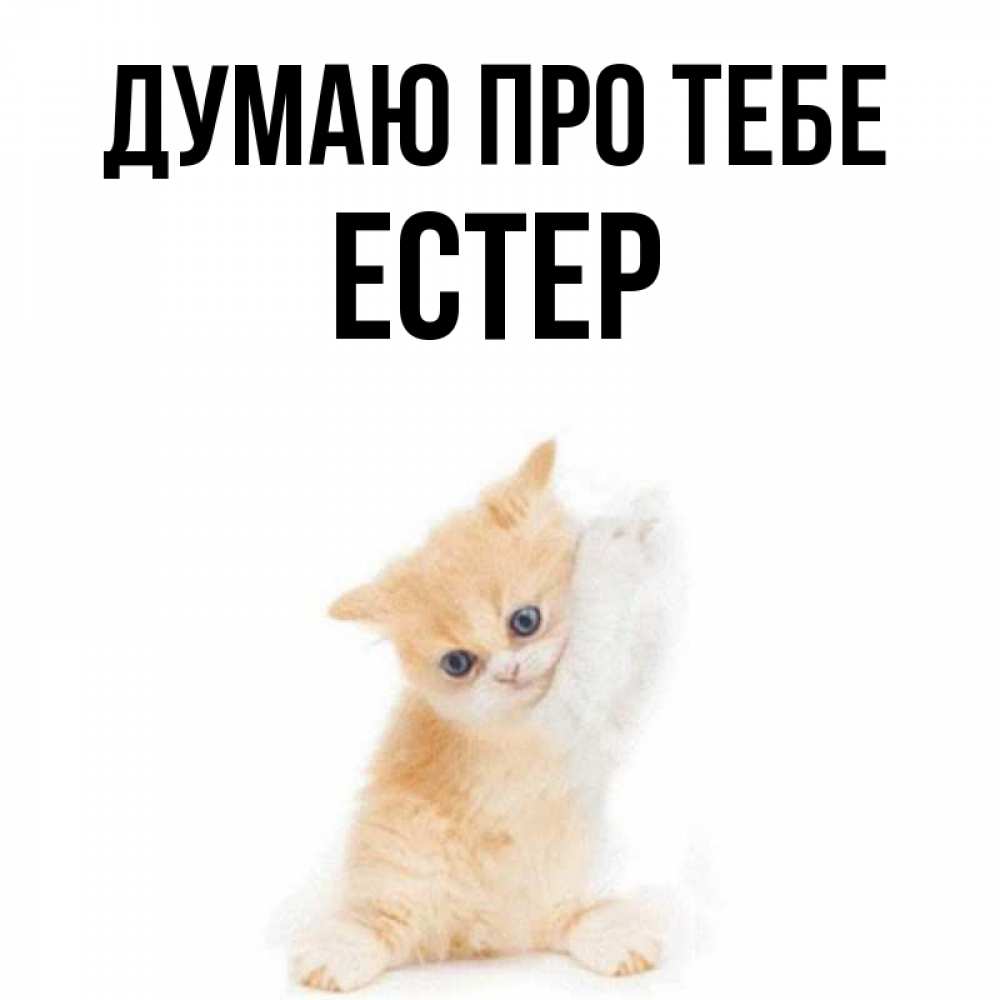 Открытка на каждый день з підписом, Естер Думаю про тебе зверушки и милота Прикольна листівка з побажанням онлайн скачати безкоштовно 