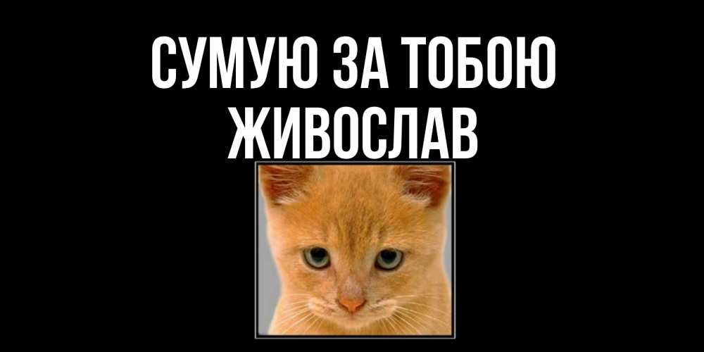 Открытка на каждый день з підписом, Живослав Сумую за тобою открытки рыжий котенок скучает по тебе Прикольна листівка з побажанням онлайн скачати безкоштовно 