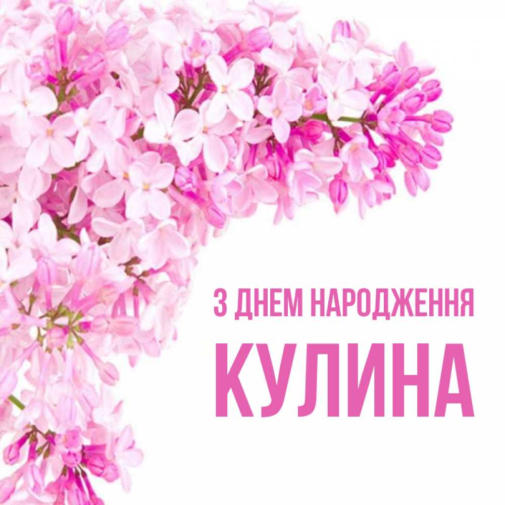 Открытка на каждый день з підписом, Кулина З Днем народження Сирень на белом фоне Прикольна листівка з побажанням онлайн скачати безкоштовно 