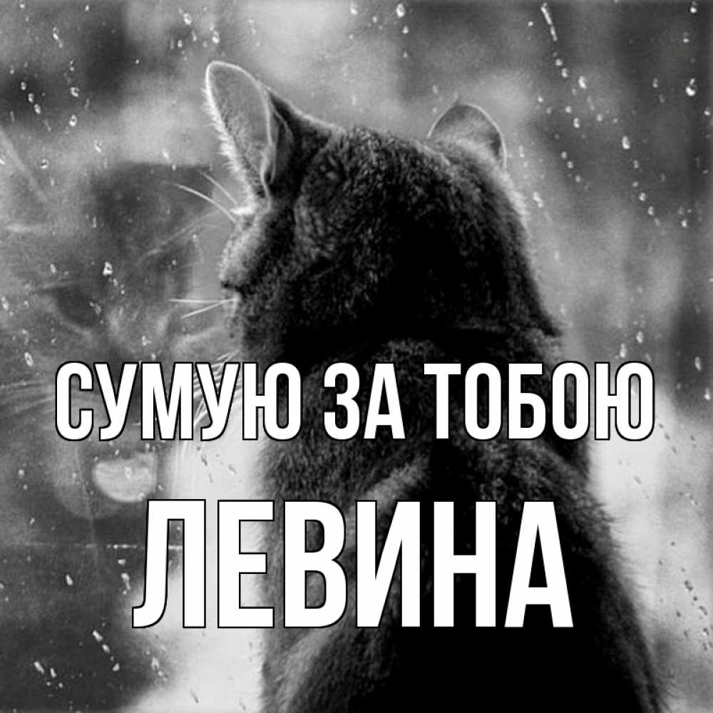 Открытка на каждый день з підписом, Левина Сумую за тобою скорее ко мне приходи 1 Прикольна листівка з побажанням онлайн скачати безкоштовно 