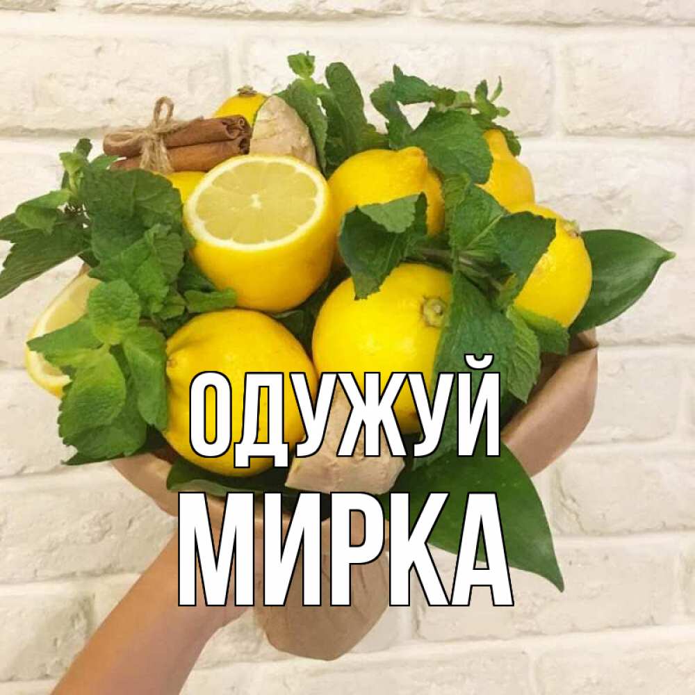 Открытка на каждый день з підписом, Мирка Одужуй витамины Прикольна листівка з побажанням онлайн скачати безкоштовно 