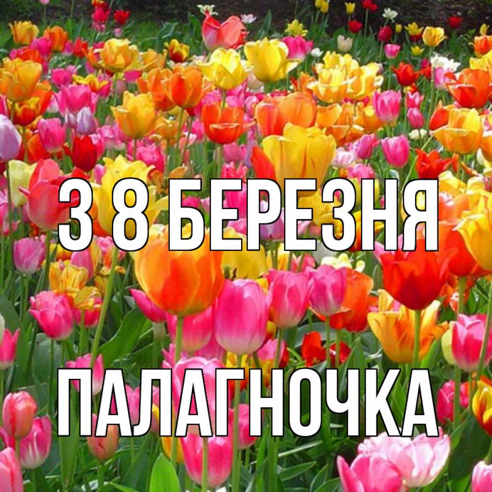Открытка на каждый день з підписом, Палагночка З 8 БЕРЕЗНЯ на международный женский день Прикольна листівка з побажанням онлайн скачати безкоштовно 