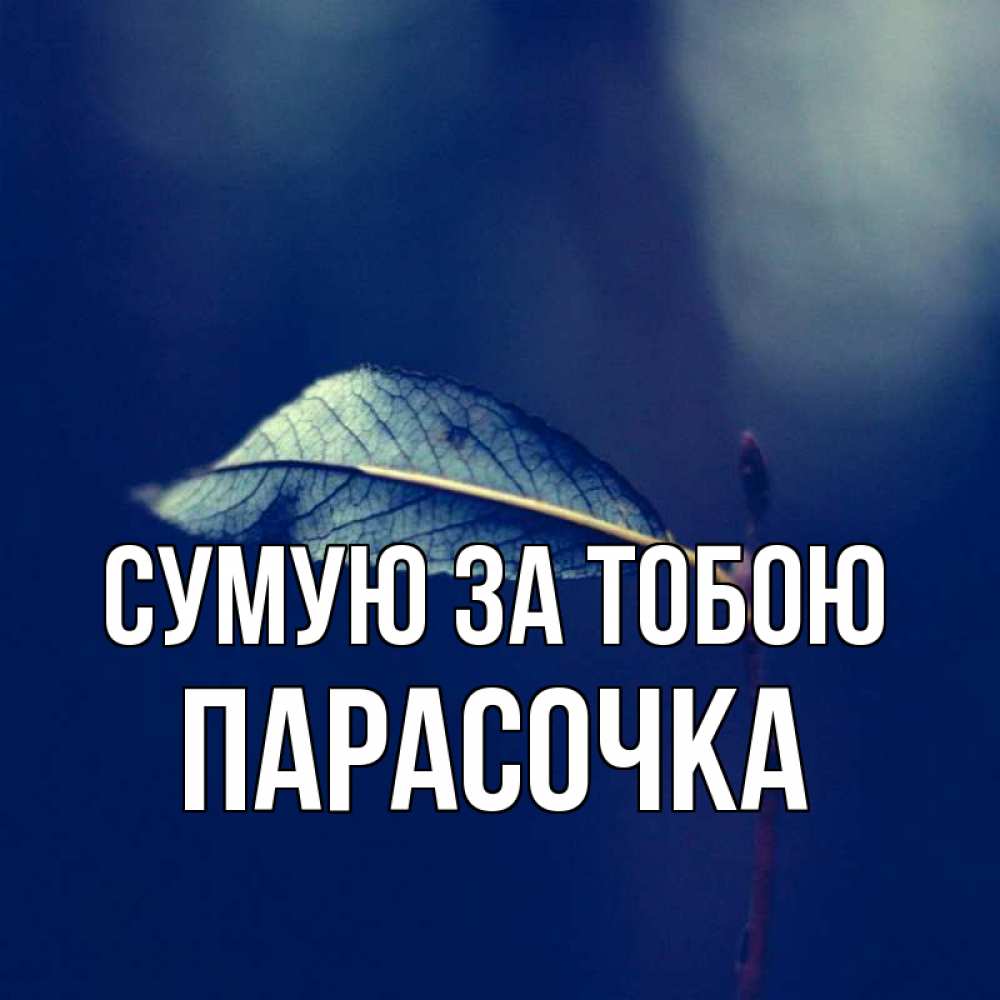Открытка на каждый день з підписом, Парасочка Сумую за тобою одна ветка 1 Прикольна листівка з побажанням онлайн скачати безкоштовно 